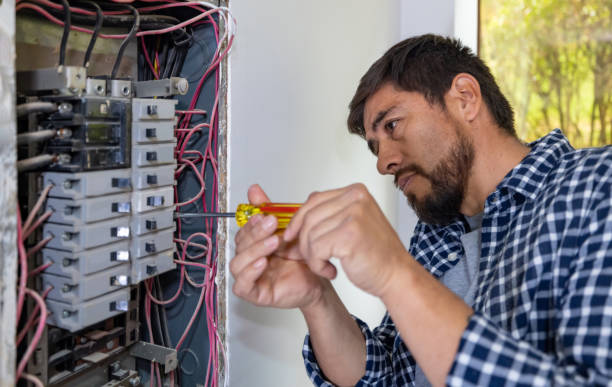 Best Electrical System Inspection  in Staic, CA